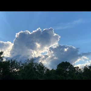 Meet your Posher, Abbey